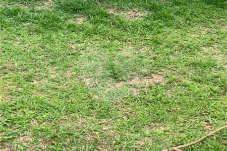 Terreno à venda no condomínio Residencial Veneza, Mogi das Cruzes - SP