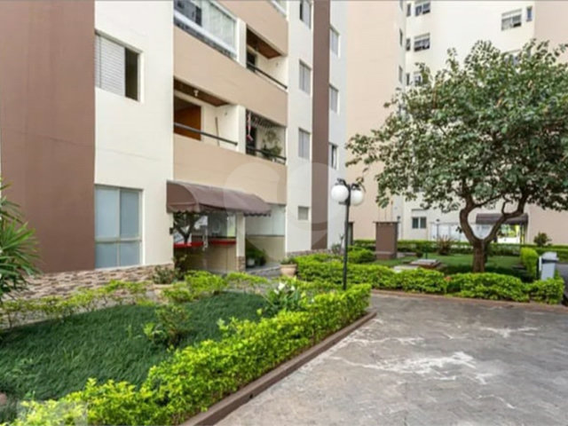 Apartamento à venda com 3 quartos em Vila Nova Cachoeirinha, São Paulo, SP