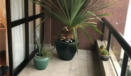 Apartamento à venda com 4 quartos, sendo 3 suítes,  em Vila Suzana, São Paulo, SP