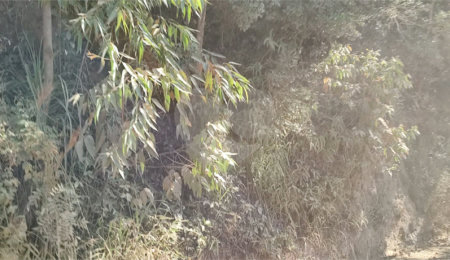 Terreno à venda em Luiz Fagundes, Mairiporã, SP