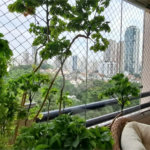 Apartamento à venda com 3 quartos, sendo 1 suíte,  em Vila Gomes Cardim, São Paulo, SP