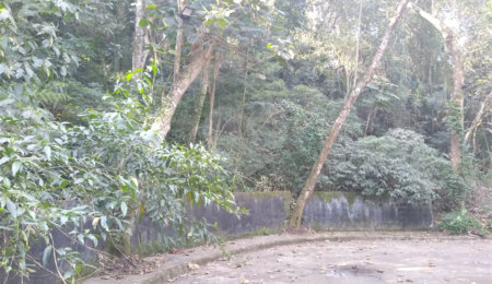 Terreno à venda em Tucuruvi, São Paulo, SP