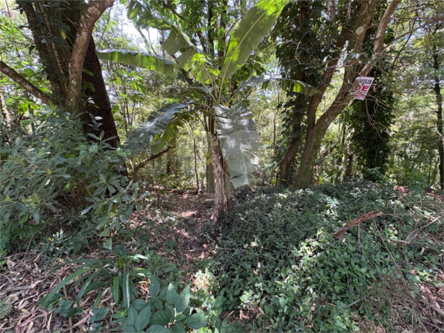 Terreno à venda em Serra da Cantareira, Mairiporã, SP