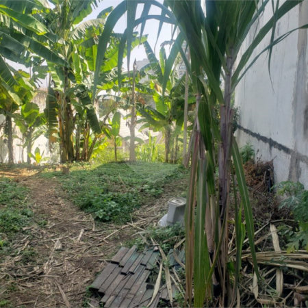 Terreno á venda com 266m ² - Bosque da Saúde