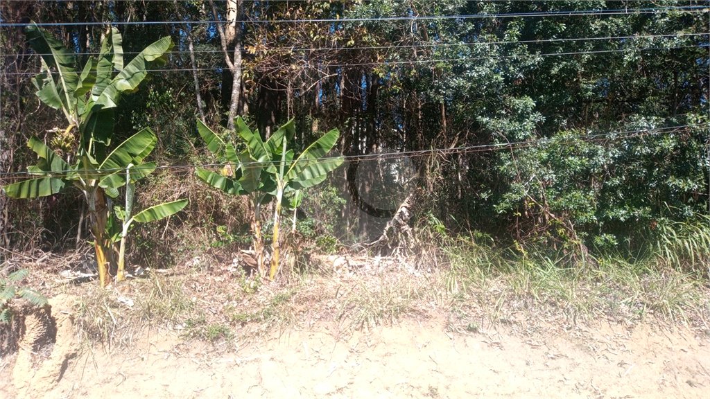Terreno à venda em Serra da Cantareira, Mairiporã, SP