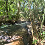 Casa Térrea à venda com 3 quartos, sendo 1 suíte,  em Serra da Cantareira, Mairiporã, SP