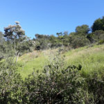 Sítio à venda com 9 quartos, sendo 7 suítes, no Centro, Monteiro Lobato, SP