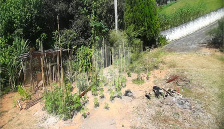 Casa à venda com 2 quartos em Serra da Cantareira, Mairiporã, SP