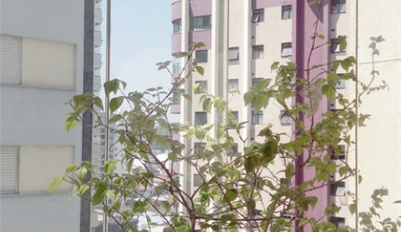 Apartamento à venda com 3 quartos, sendo 1 suíte,  em Casa Verde, São Paulo, SP