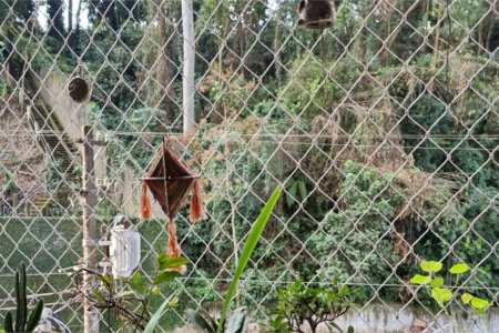 Apartamento à venda com 3 quartos, sendo 2 suítes, em Jardim Ampliação, São Paulo, SP