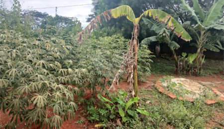 Chácara à venda com 2 suítes em Mato Seco, Itapetininga, SP