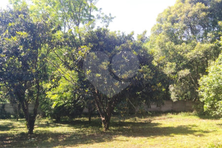 Chácara à venda com 5 quartos, sendo 1 suíte, em Estância São Luís, Suzano, SP