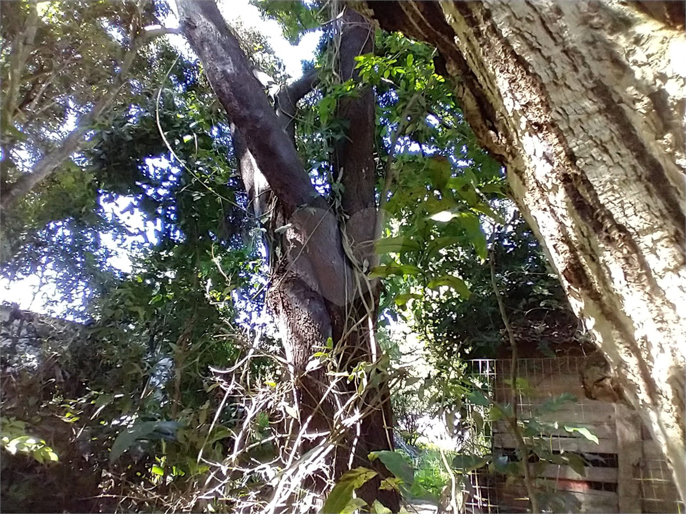 Casa à venda com 1 quarto em Vila Verde, Armação dos Búzios, RJ