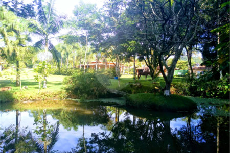 Chácara à venda com 3 quartos, sendo 1 suíte, em Área Rural de Louveira, Louveira, SP