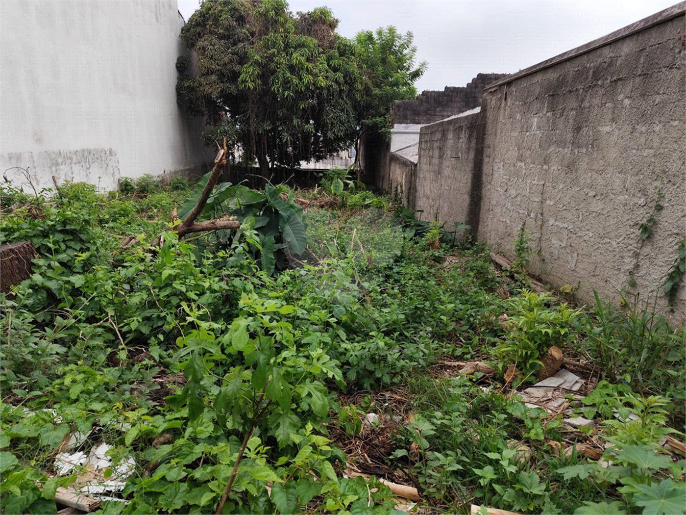 Terreno à venda com 1 suíte em Vila Constança, São Paulo, SP