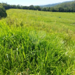 Sítio à venda com 5 quartos, sendo 1 suíte,  em Área Rural de Tapiraí, Tapiraí, SP