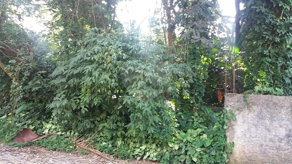 Terreno à venda em Tremembé, São Paulo, SP