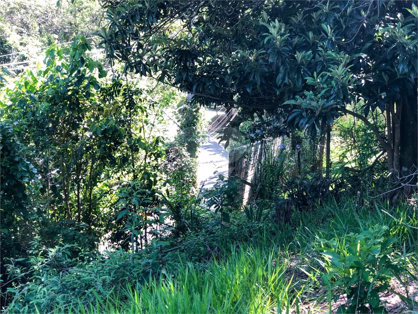 Terreno à venda em Bairro do Cambará, São Roque, SP