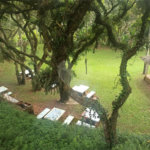 Sítio à venda com 9 quartos, sendo 5 suítes, em Portão, Atibaia, SP