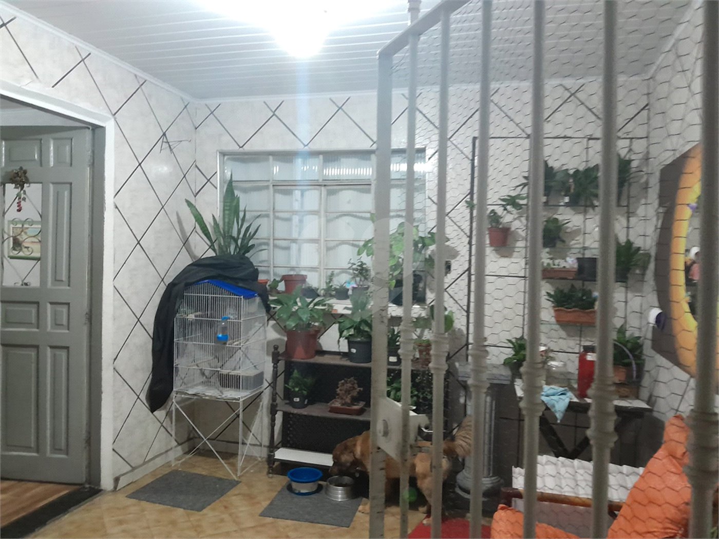 Casa à venda com 4 quartos em Vila Gustavo, São Paulo, SP