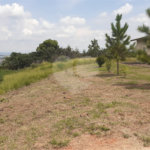 Chácara à venda com 4 quartos, sendo 1 suíte, em Vista Alegre, Vinhedo, SP