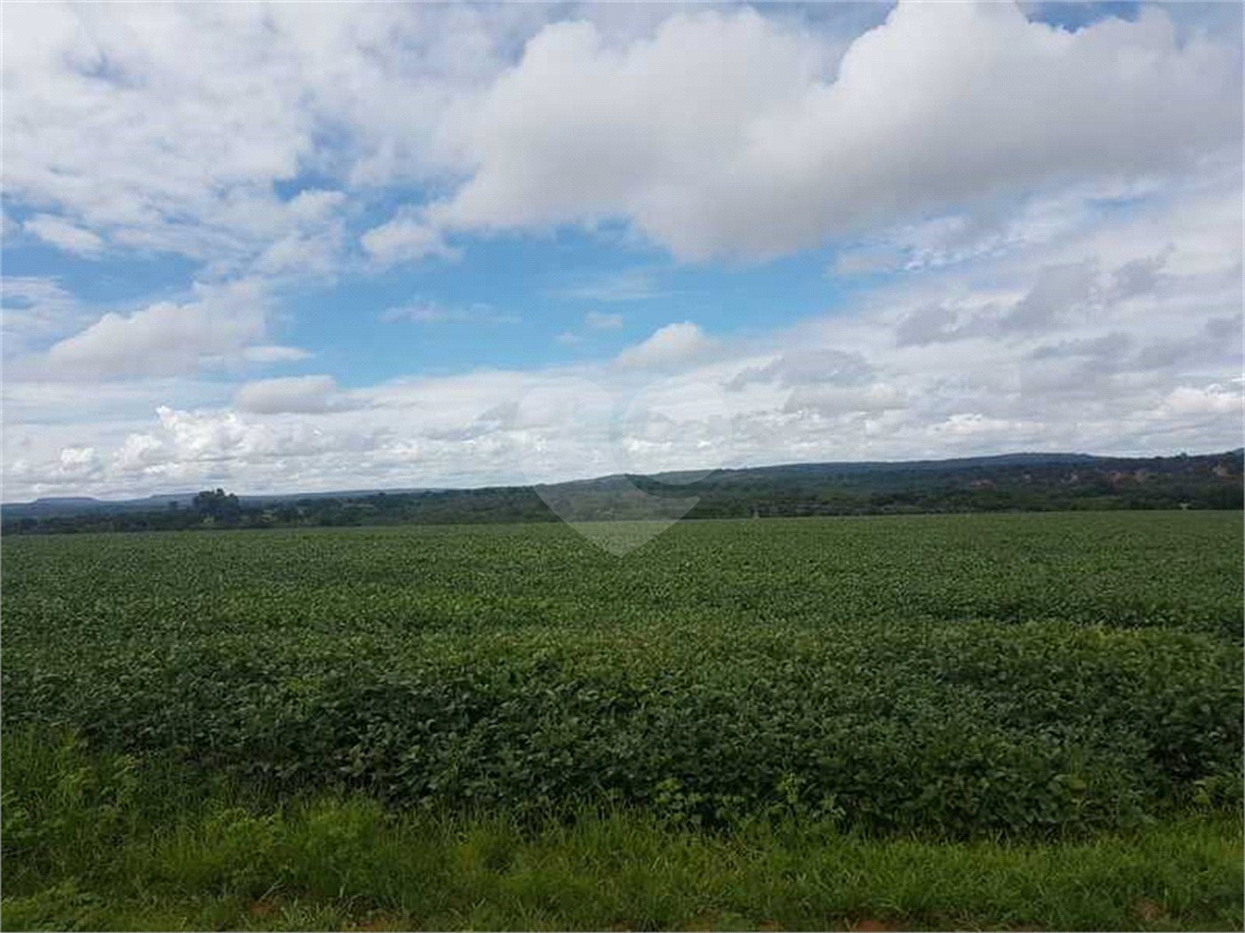 Fazenda à venda com 2 quartos em Canabrava, João Pinheiro, MG