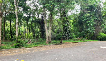Terreno à venda no condomínio Sausalito, Mairiporã - SP