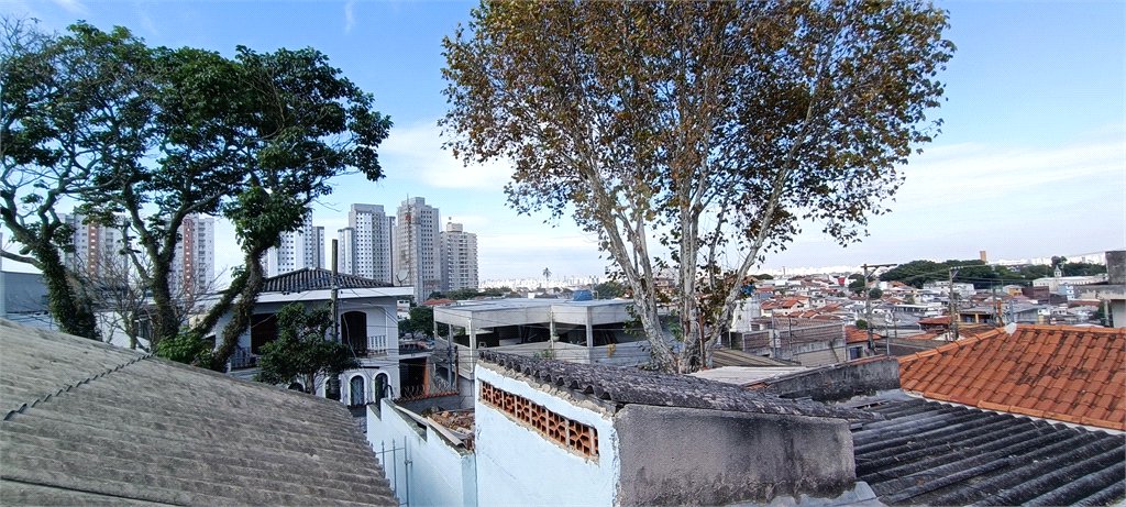 Casa Térrea à venda com 3 quartos em Vila Nova Cachoeirinha, São Paulo, SP
