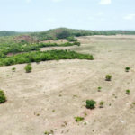 Fazenda à venda em Zona Rural, Balsas, MA