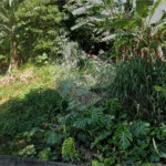 Terreno à venda em Tremembé, São Paulo, SP