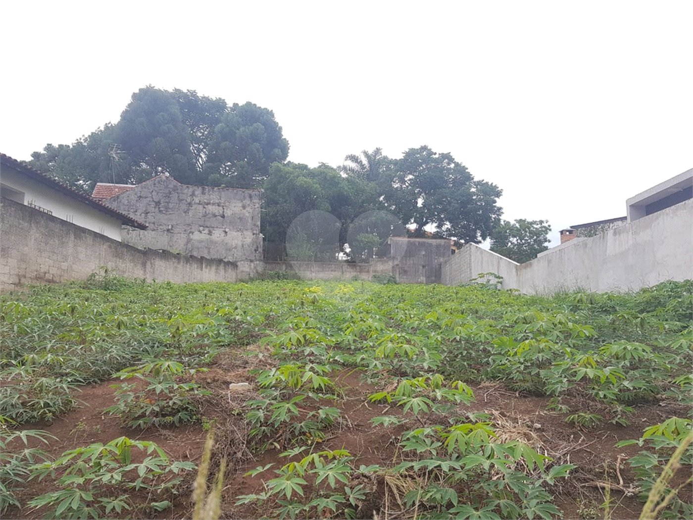 Terreno à venda em Jardim Paulista, Atibaia, SP