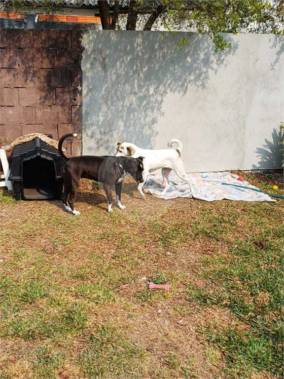 Casa à venda com 2 quartos em Vila Bernadotti, Mogi das Cruzes, SP