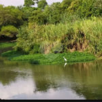 Chácara à venda com 5 quartos, sendo 2 suítes, em Chácara Recreio Danubio, Holambra, SP
