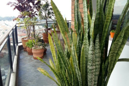 Apartamento à venda com 3 quartos, sendo 2 suítes, em Jardim Parque Morumbi, São Paulo, SP