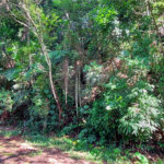 Terreno à venda no condomínio Sausalito, Mairiporã - SP
