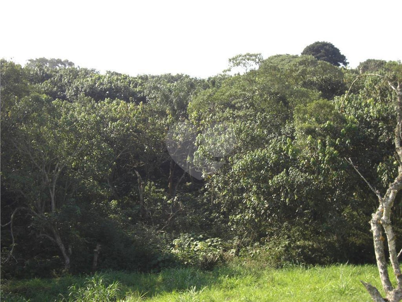 Área de Terra à venda em Porteira Preta, Mogi das Cruzes, SP