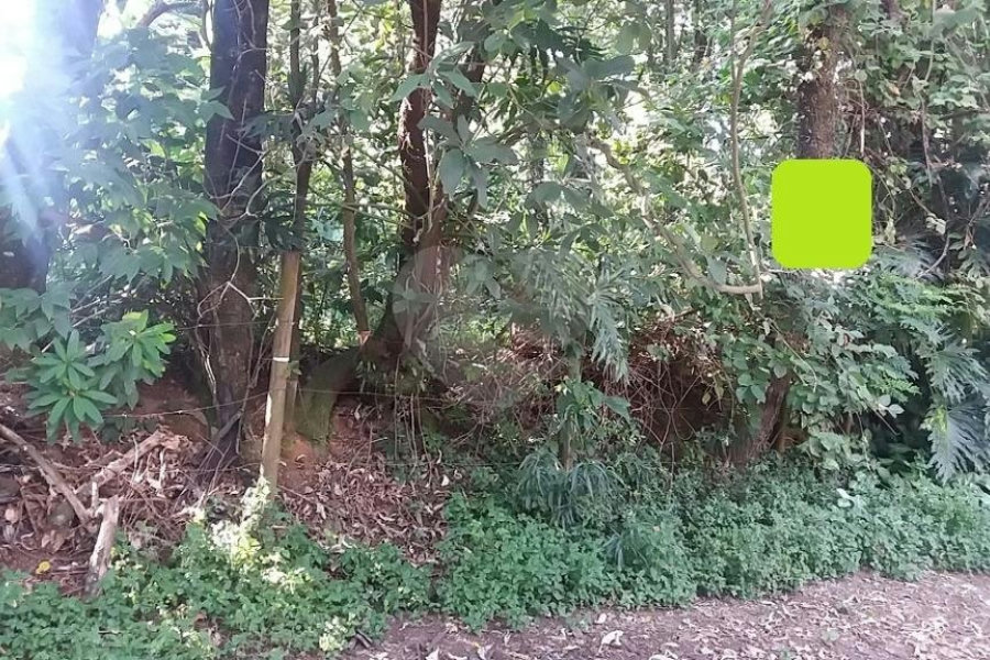 Terreno à venda em Tremembé, São Paulo, SP