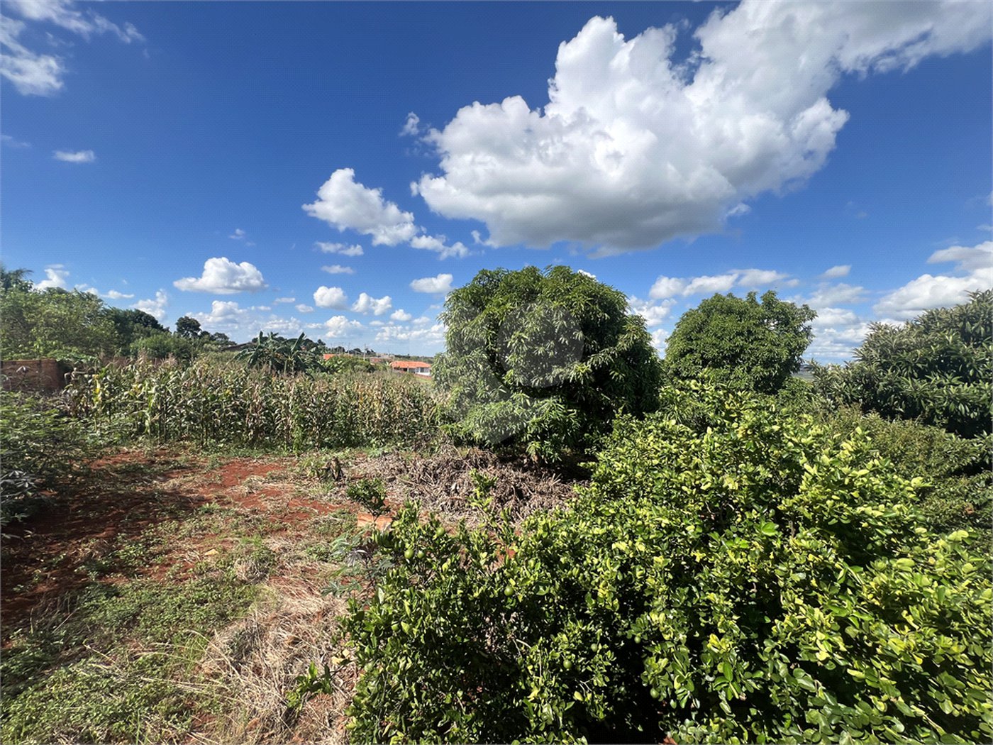 Casa à venda com 4 quartos, sendo 1 suíte, em Mato Seco, Itapetininga, SP