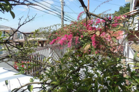 Terreno à venda em Vila Nivi, São Paulo, SP