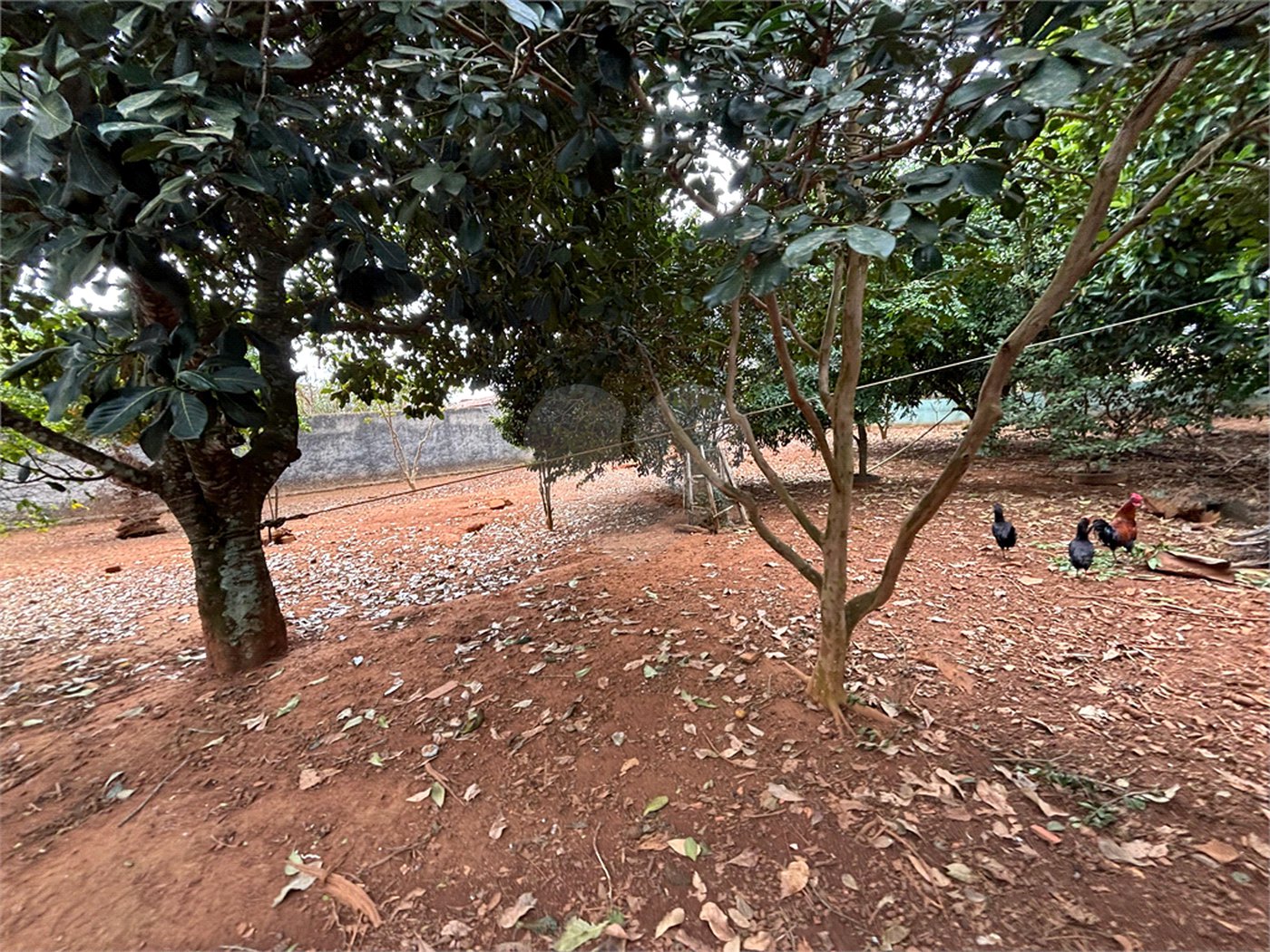 Chácara à venda com 3 quartos em Vila Sottemo, Itapetininga, SP