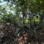 Terreno à venda em Residencial Emilio de Andrade, Ponta Porã, MS