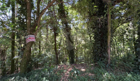 Terreno à venda em Serra da Cantareira, Mairiporã, SP