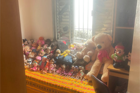 Sobrado à venda com 3 quartos em Vila Nova Alba, São Paulo, SP