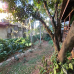 Apartamento à venda com 4 quartos, sendo 2 suítes, em Vila Paulicéia, São Paulo, SP