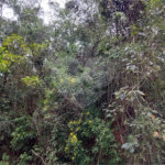 Terreno à venda no condomínio Alpes da Cantareira, Mairiporã - SP