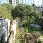 Terreno à venda ou para alugar em Água Fria, São Paulo, SP