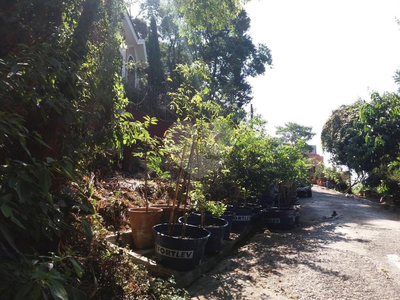 Terreno à venda em Tremembé, São Paulo, SP