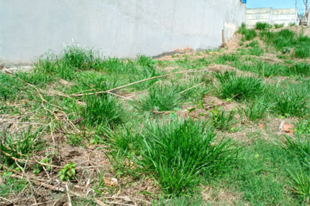Terreno à venda em Jardim Paulista, Atibaia, SP
