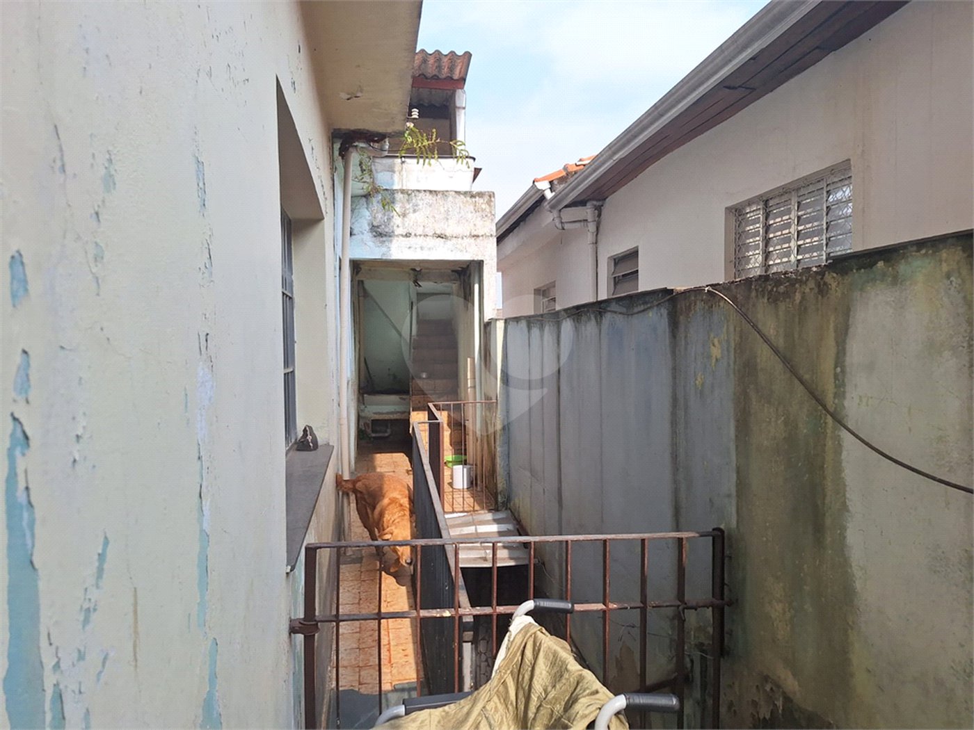 Casa à venda com 3 quartos em Vila Maria Alta, São Paulo, SP