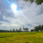 Sítio à venda com 3 quartos em Campo de Boituva, Boituva, SP